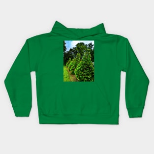 Four pretty lit pine trees Kids Hoodie